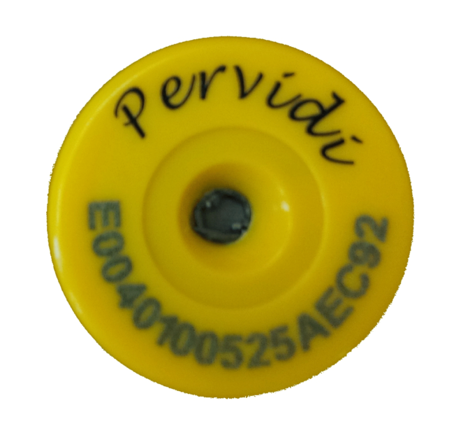 Pervidi RFID