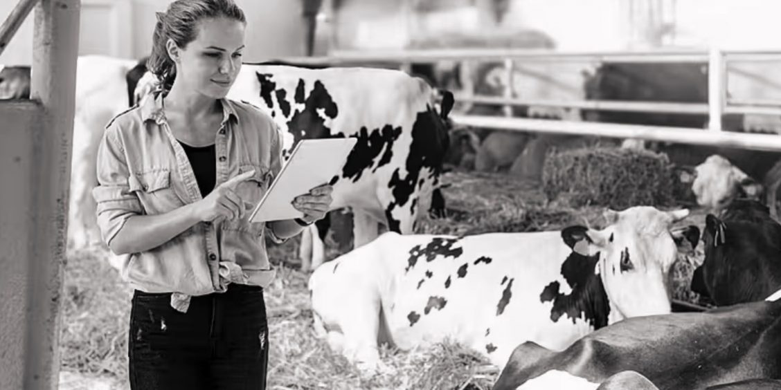 Automating Farm Inspections