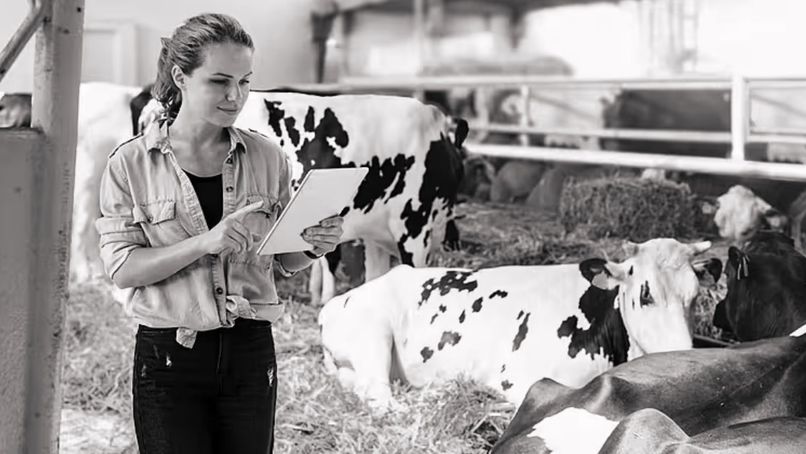 Farm-Inspections Automating Farm Inspections